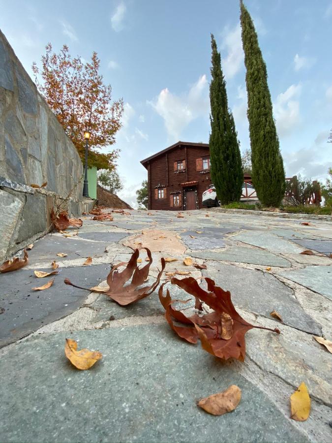 Anti Onirou Villa Flasou Eksteriør billede